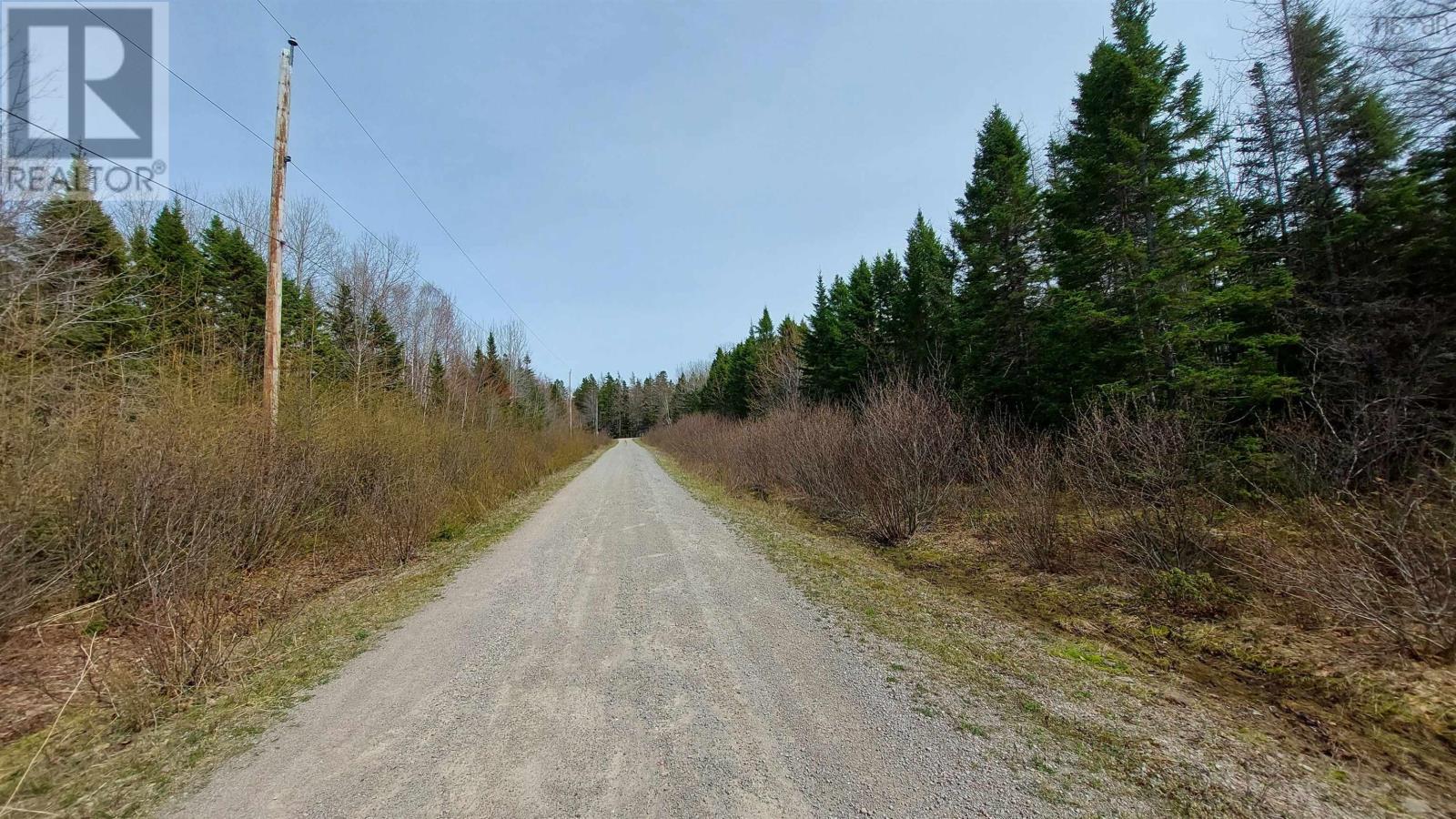 Lot 8 Evanston Rd, Evanston, Nova Scotia  B0E 1J0 - Photo 4 - 202611132