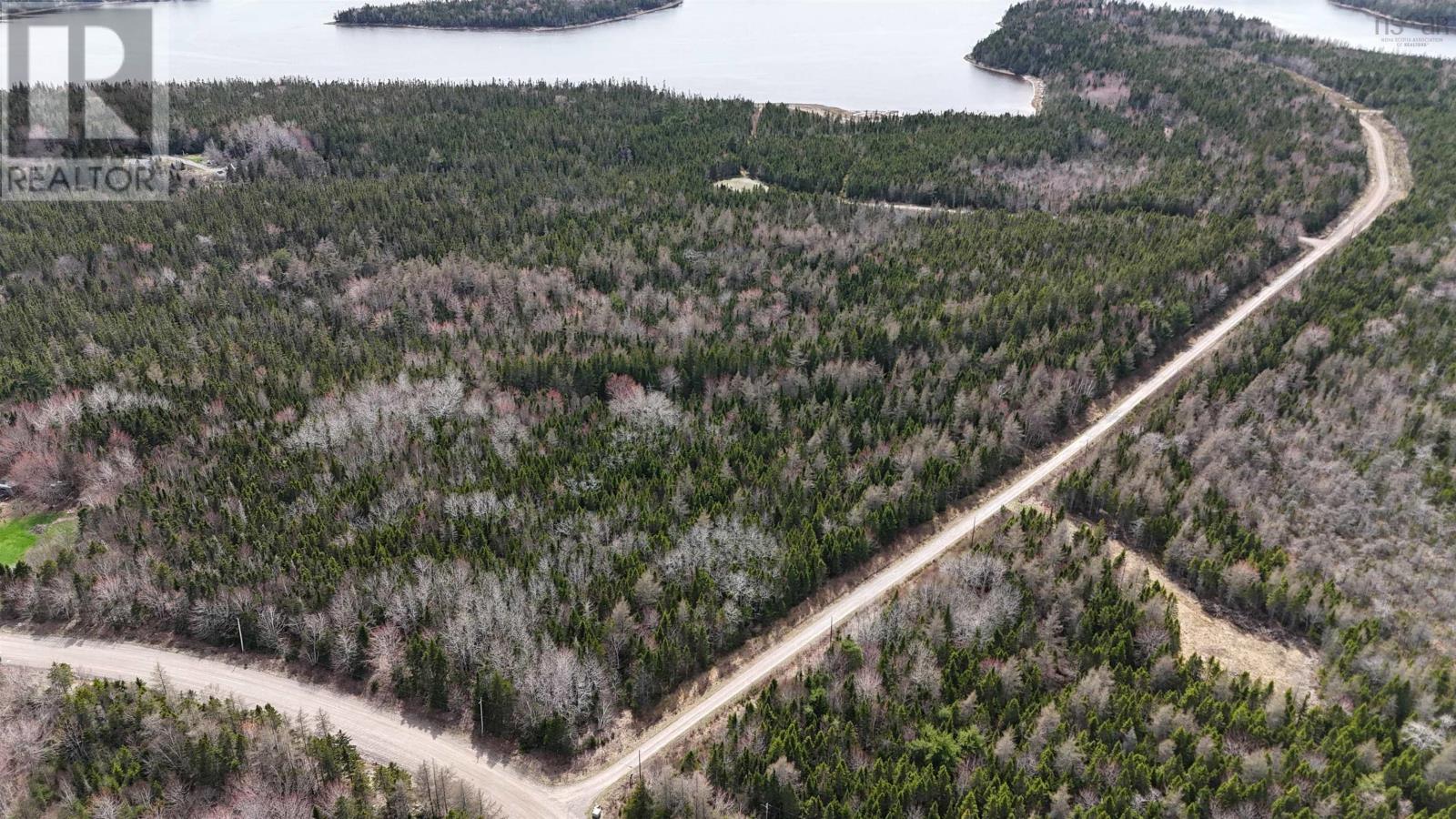 Lot 8 Evanston Rd, Evanston, Nova Scotia  B0E 1J0 - Photo 8 - 202611132