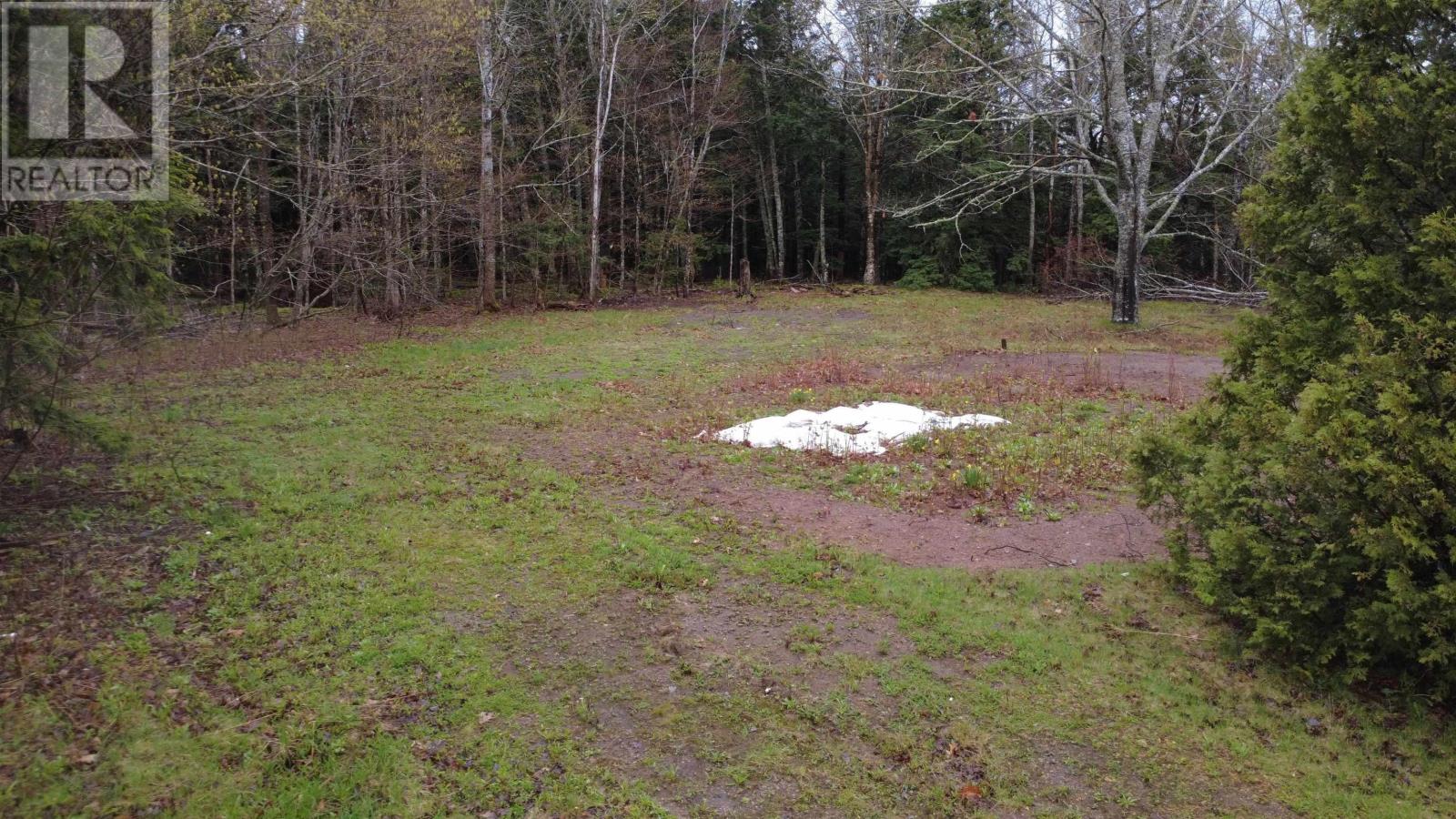 Lot 142 Condon Road, Scotsburn, Nova Scotia  B0K 1R0 - Photo 11 - 202611136