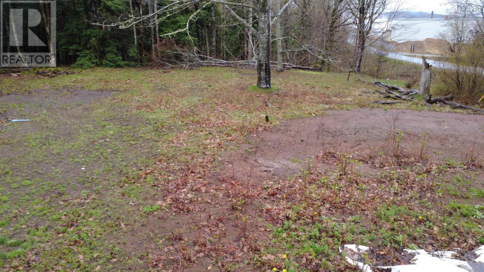 Lot 142 Condon Road, Scotsburn, Nova Scotia  B0K 1R0 - Photo 13 - 202611136