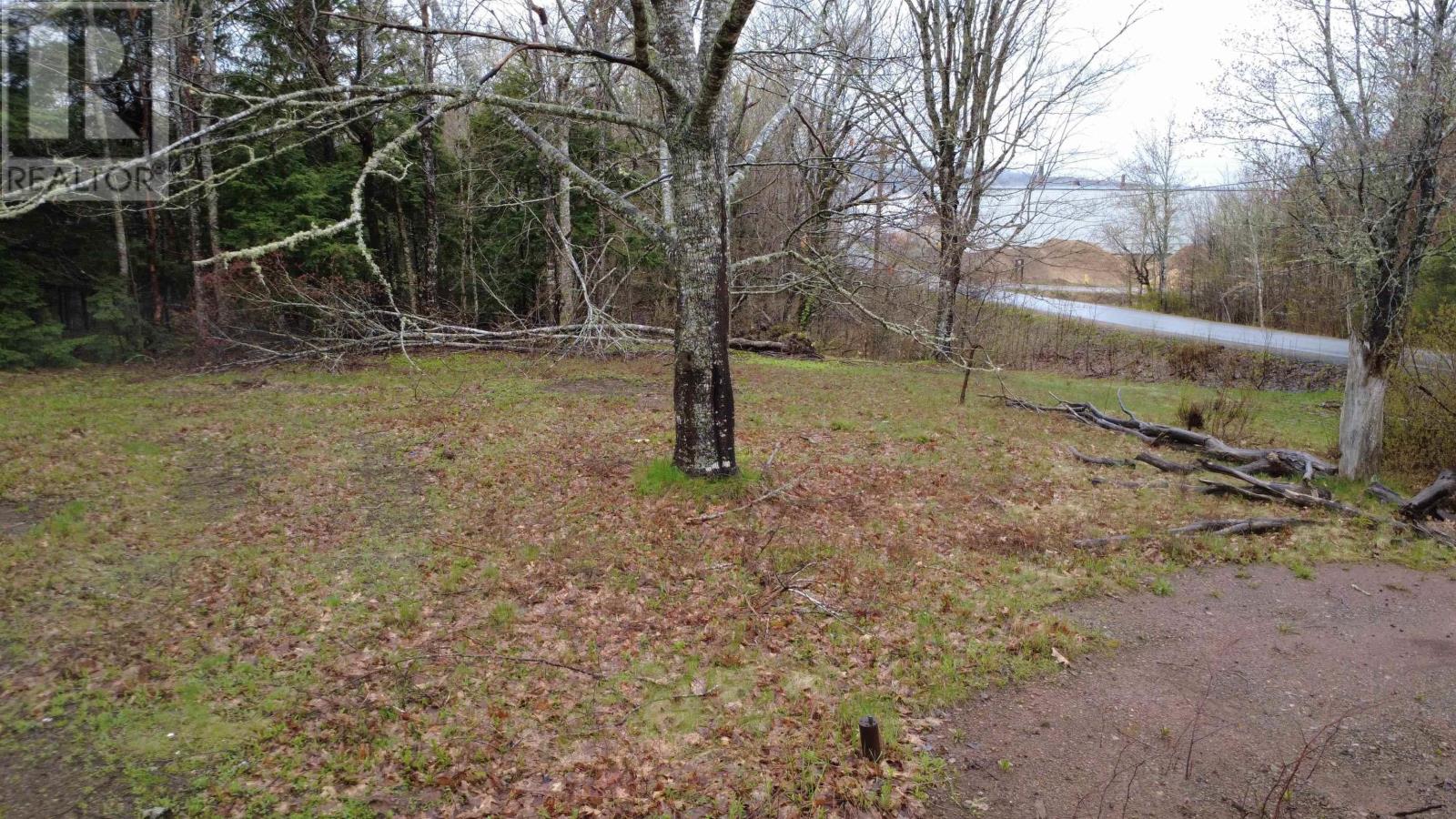 Lot 142 Condon Road, Scotsburn, Nova Scotia  B0K 1R0 - Photo 21 - 202611136