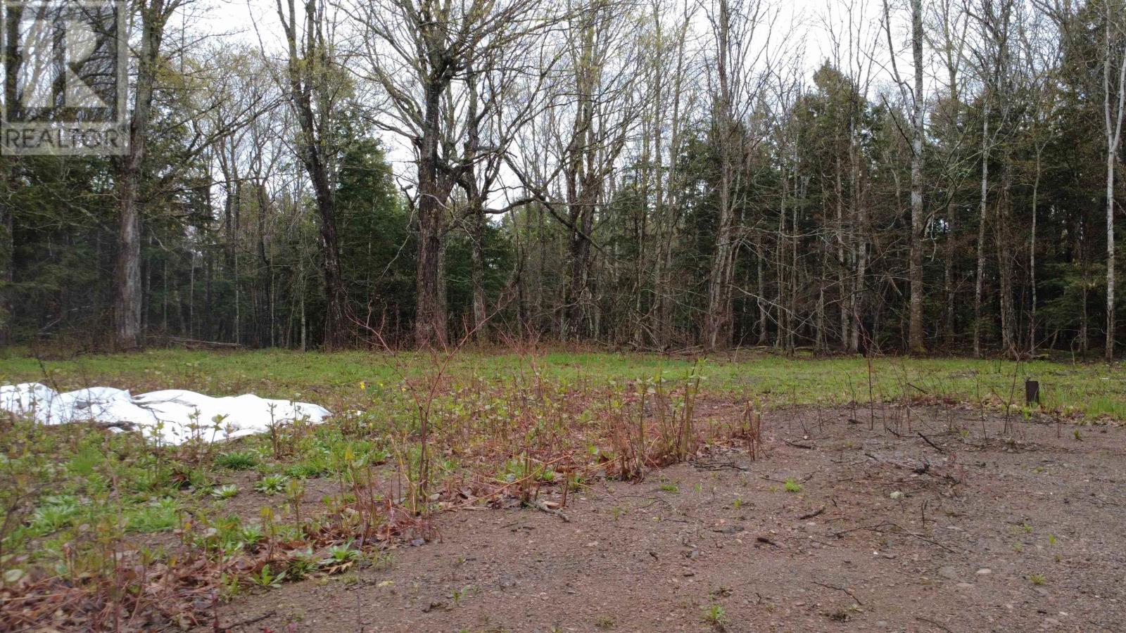 Lot 142 Condon Road, Scotsburn, Nova Scotia  B0K 1R0 - Photo 22 - 202611136