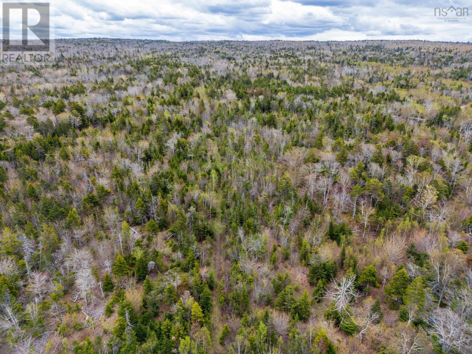 28 Longley Mountain Road, Youngs Cove, Nova Scotia  B0S 1L0 - Photo 34 - 202611325