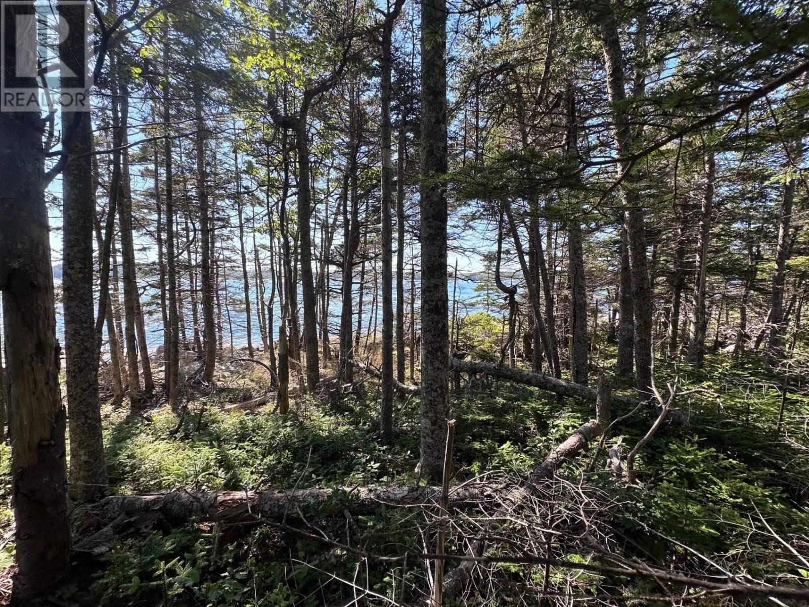 Lot 3 Stewarts Point Road, East Port L'hebert, Nova Scotia  B0T 1S0 - Photo 4 - 202611520