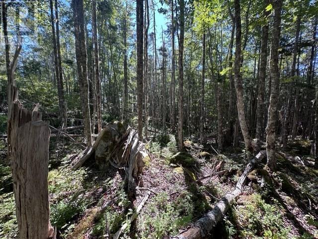 Lot 3 Stewarts Point Road, East Port L'hebert, Nova Scotia  B0T 1S0 - Photo 6 - 202611520