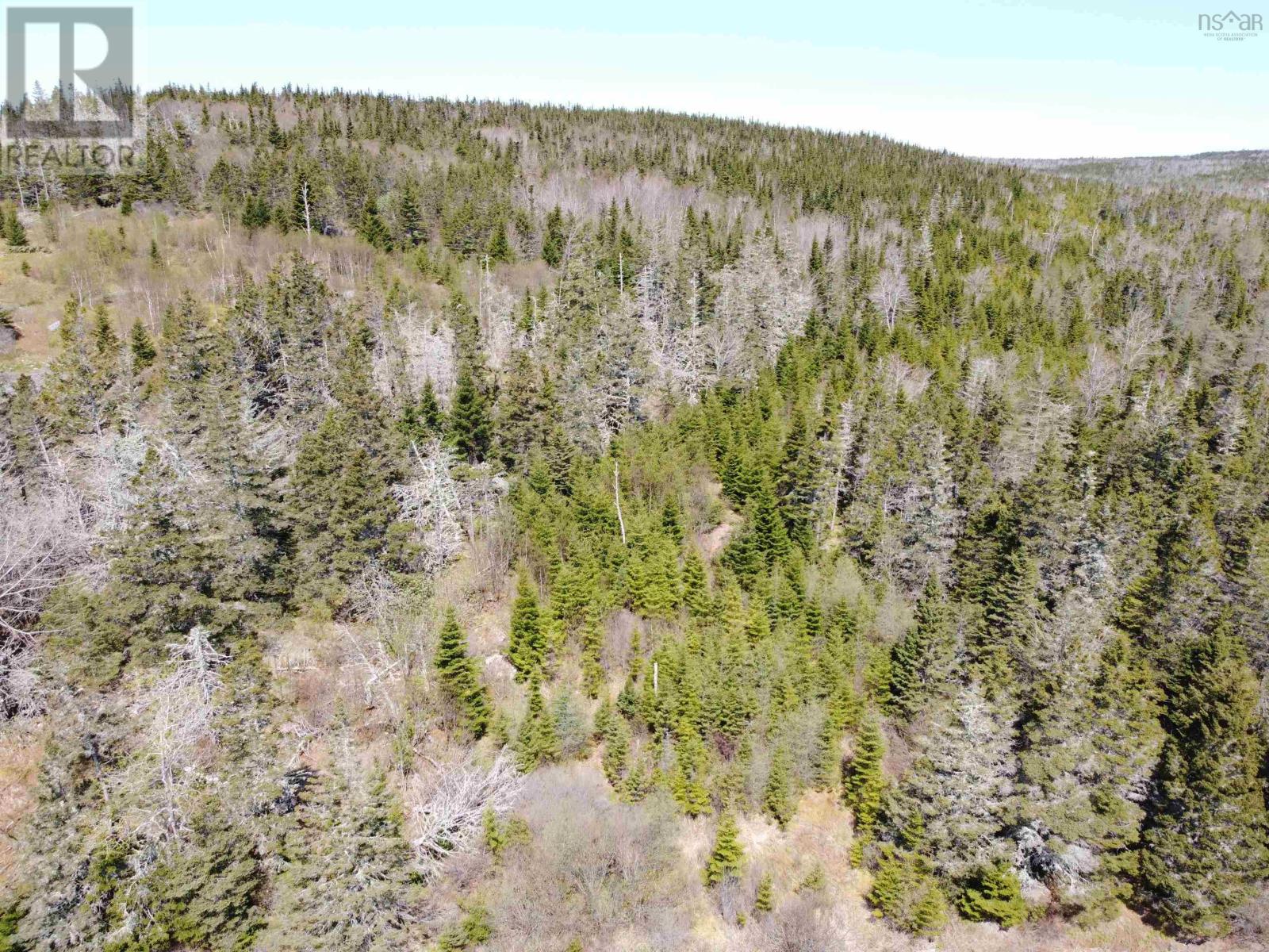 Cemetery Road, Spry Harbour, Nova Scotia  B0J 3H0 - Photo 3 - 202611532