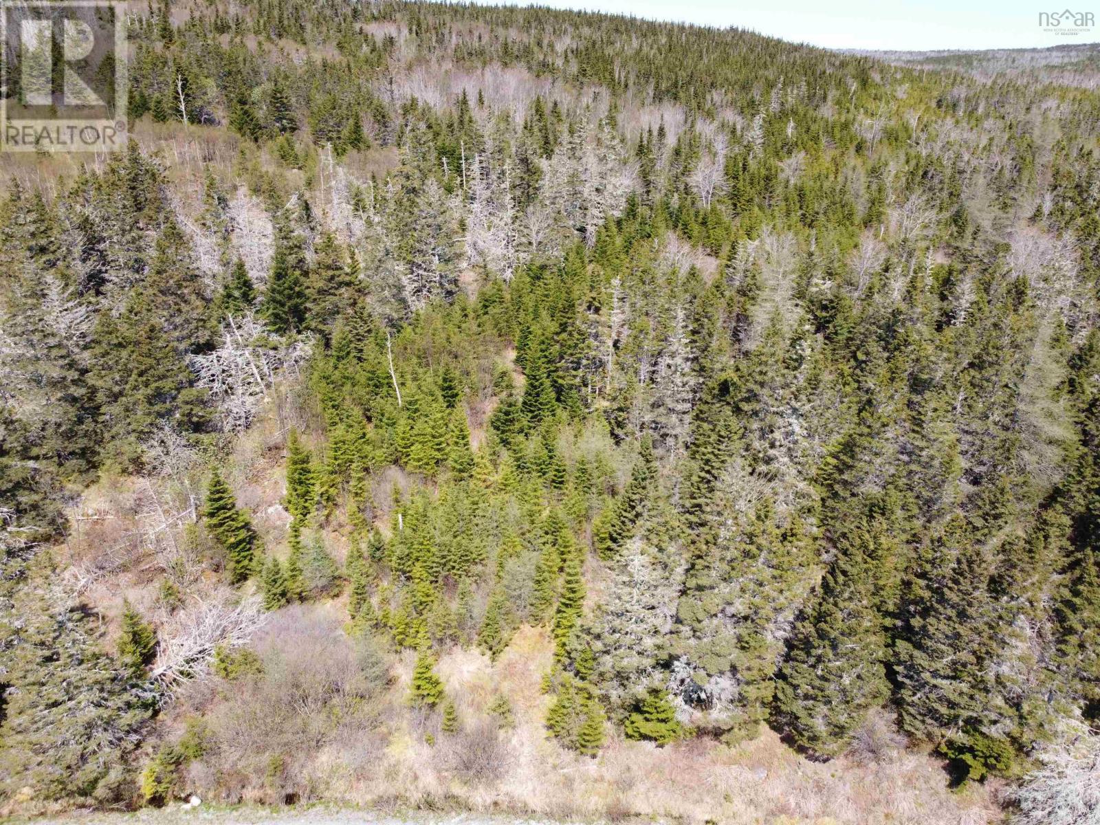 Cemetery Road, Spry Harbour, Nova Scotia  B0J 3H0 - Photo 4 - 202611532
