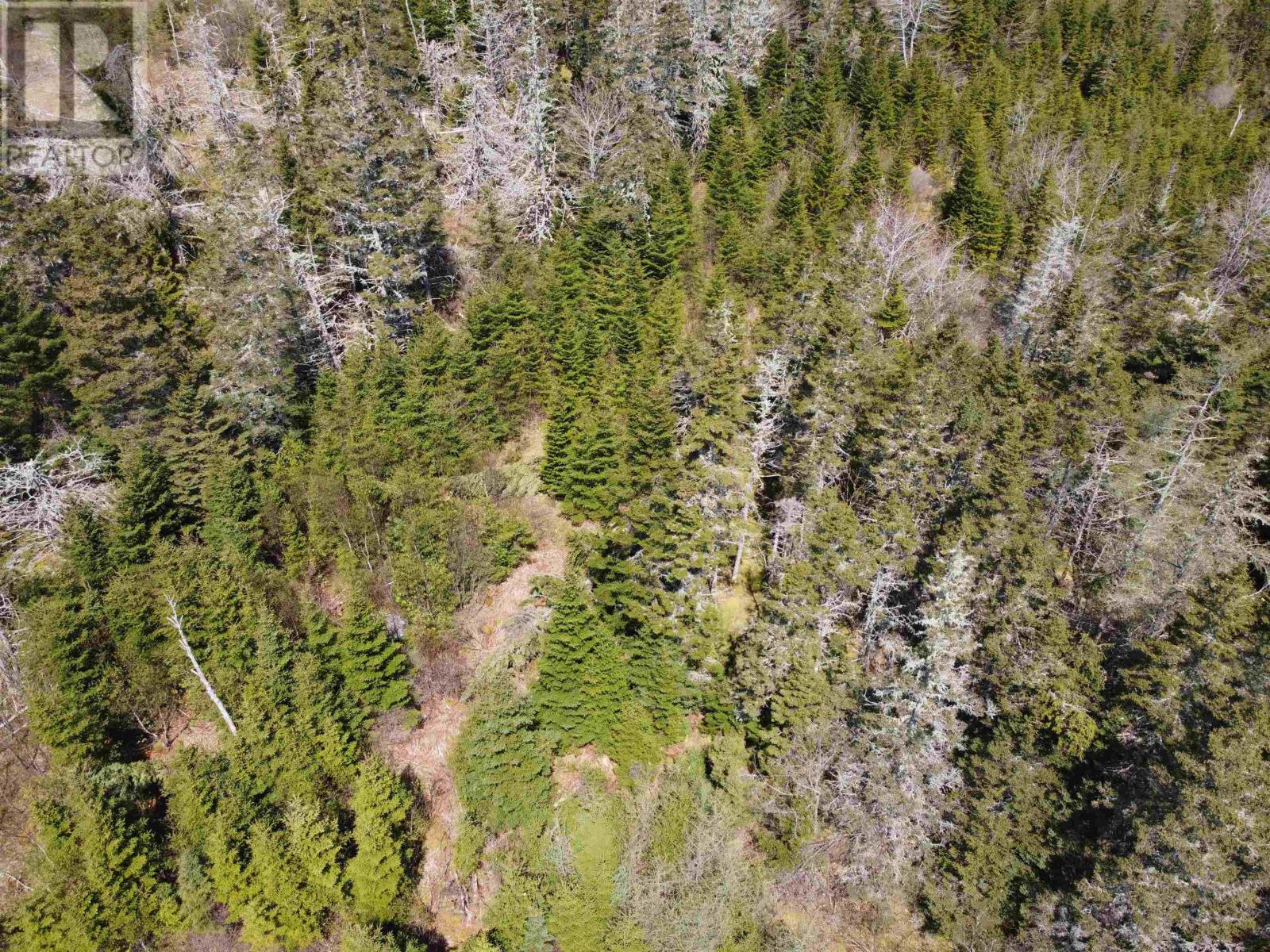 Cemetery Road, Spry Harbour, Nova Scotia  B0J 3H0 - Photo 6 - 202611532