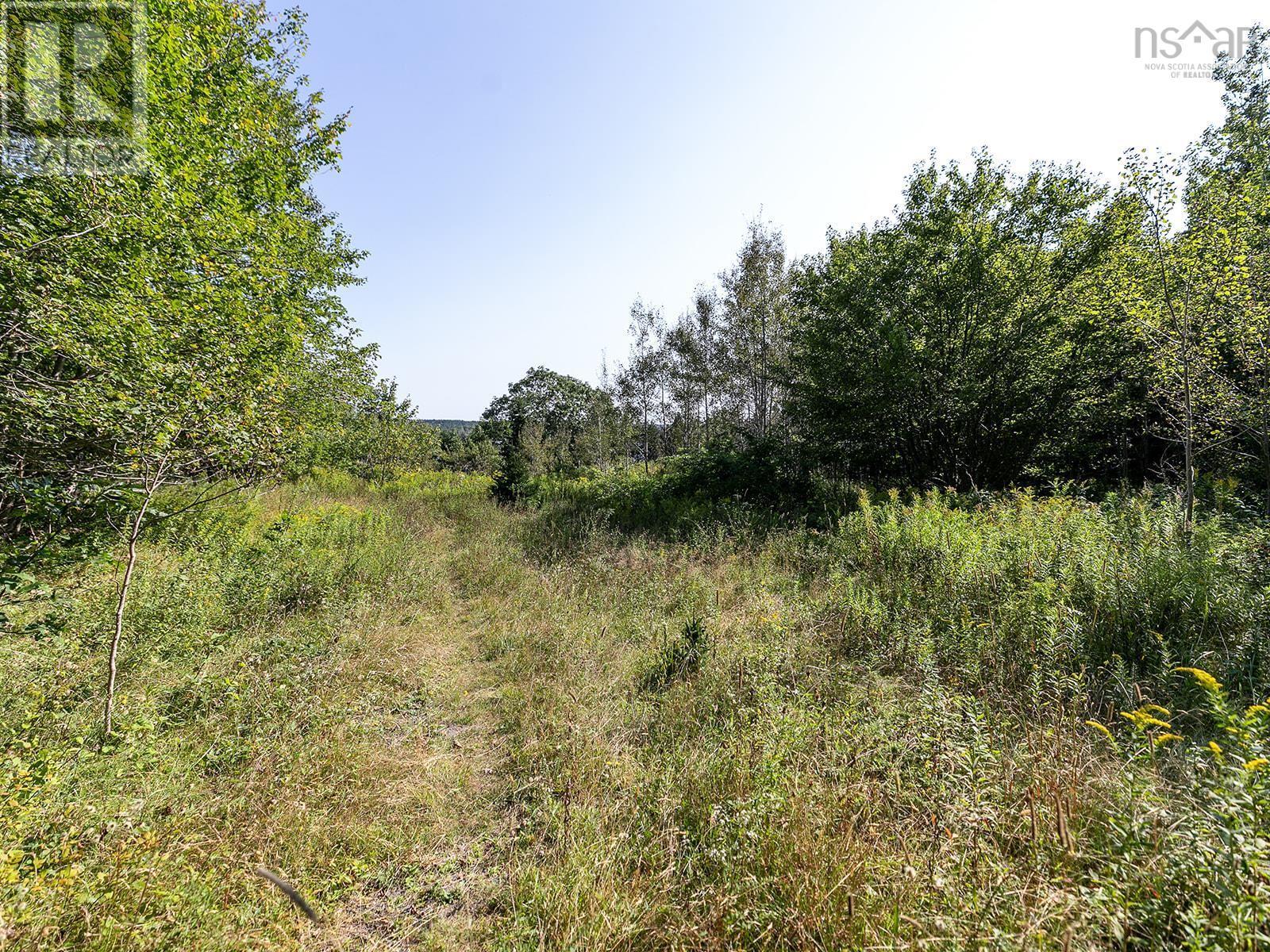 293 Hillside Drive, Boutiliers Point, Nova Scotia  B3Z 1W9 - Photo 4 - 202611540