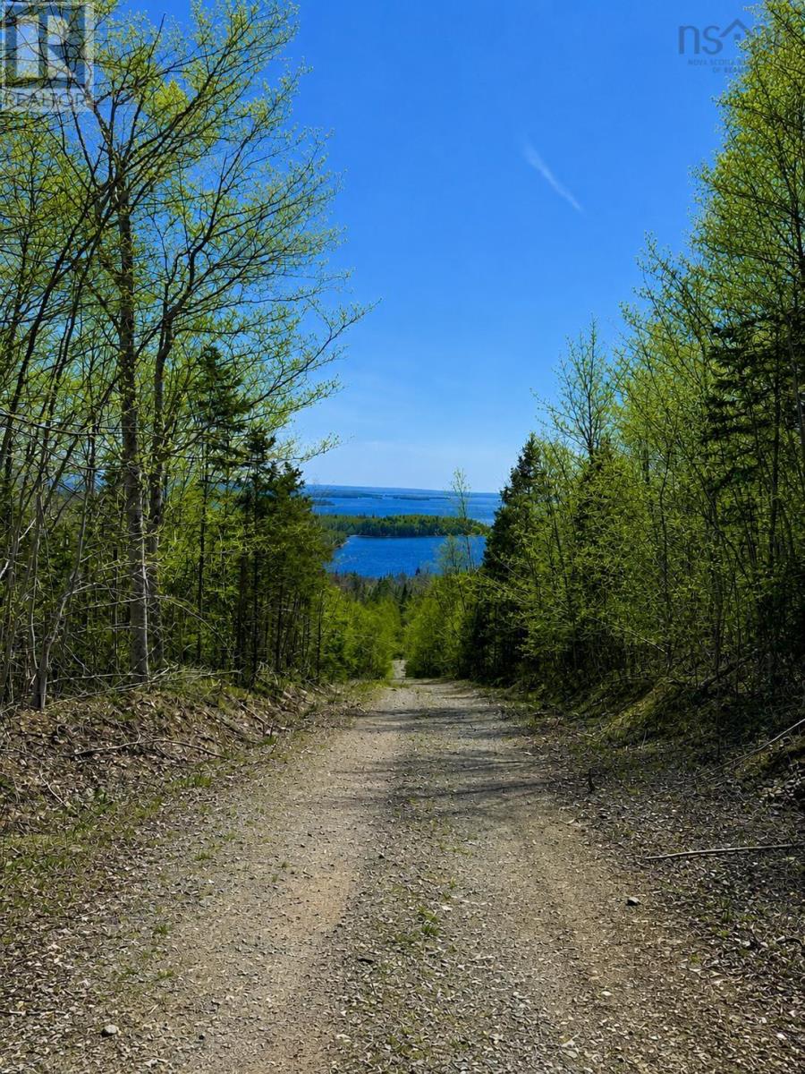 Lot 16 Redbird Drive, Big Harbour Centre, Malagawatch, Nova Scotia  B0E 2Y0 - Photo 10 - 202611593
