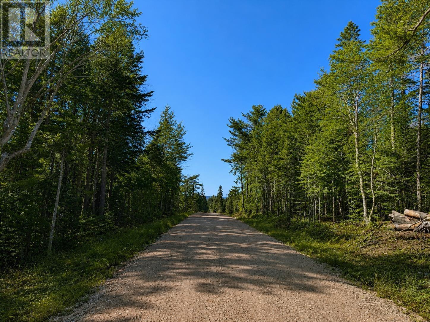 Lot 16 Redbird Drive, Big Harbour Centre, Malagawatch, Nova Scotia  B0E 2Y0 - Photo 7 - 202611593