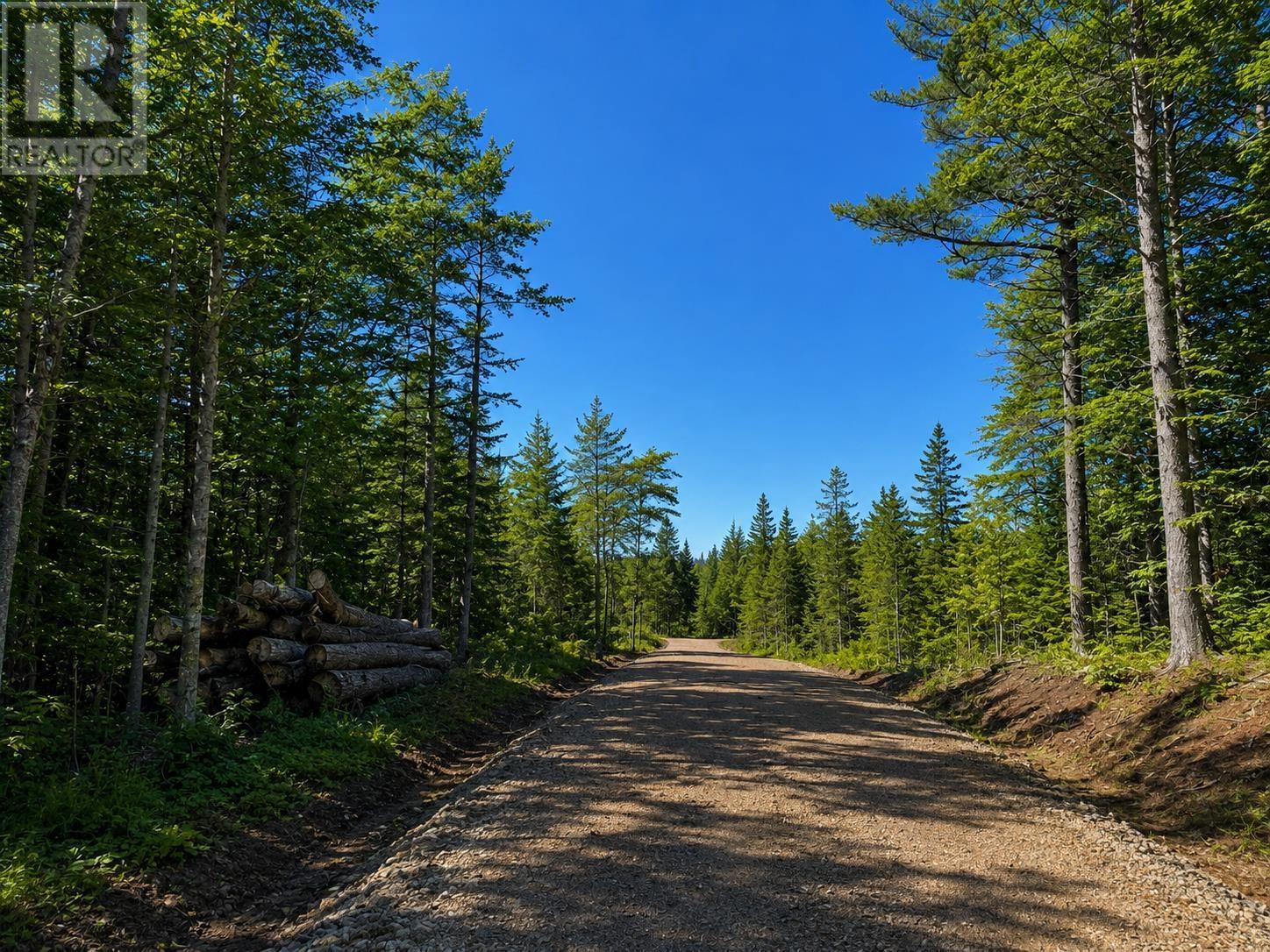 Lot 16 Redbird Drive, Big Harbour Centre, Malagawatch, Nova Scotia  B0E 2Y0 - Photo 8 - 202611593