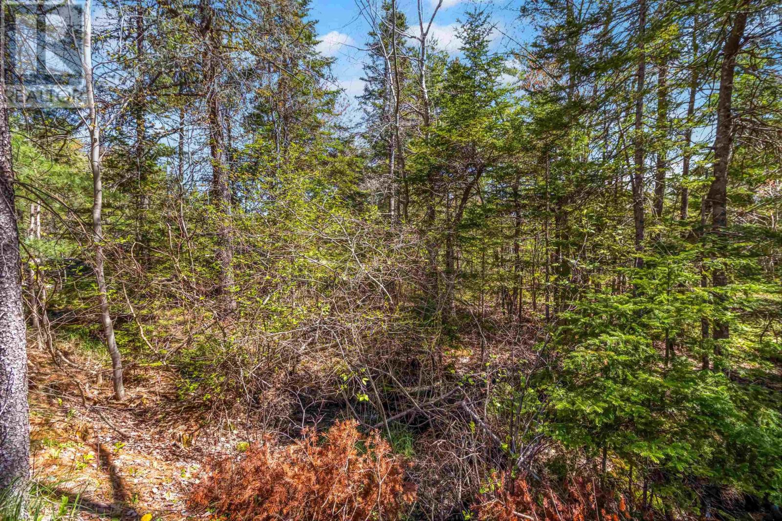 Lot 2 Highway 3, Martins River, Nova Scotia  B0J 2E0 - Photo 32 - 202611974