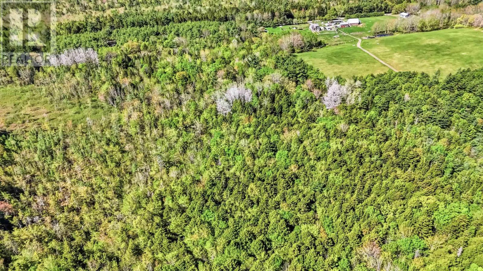 Lot 1-23 Hirtle Road, Maitland, Nova Scotia  B0J 1E0 - Photo 6 - 202611998