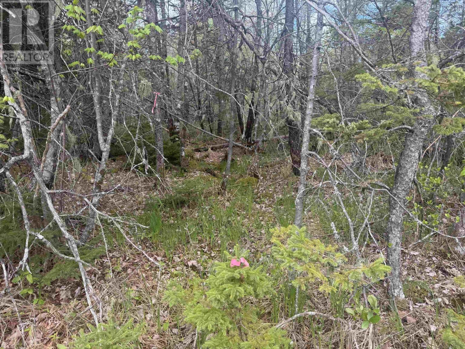 Lot A & B Highway 332, Bayport, Nova Scotia  B0J 2X0 - Photo 12 - 202612079