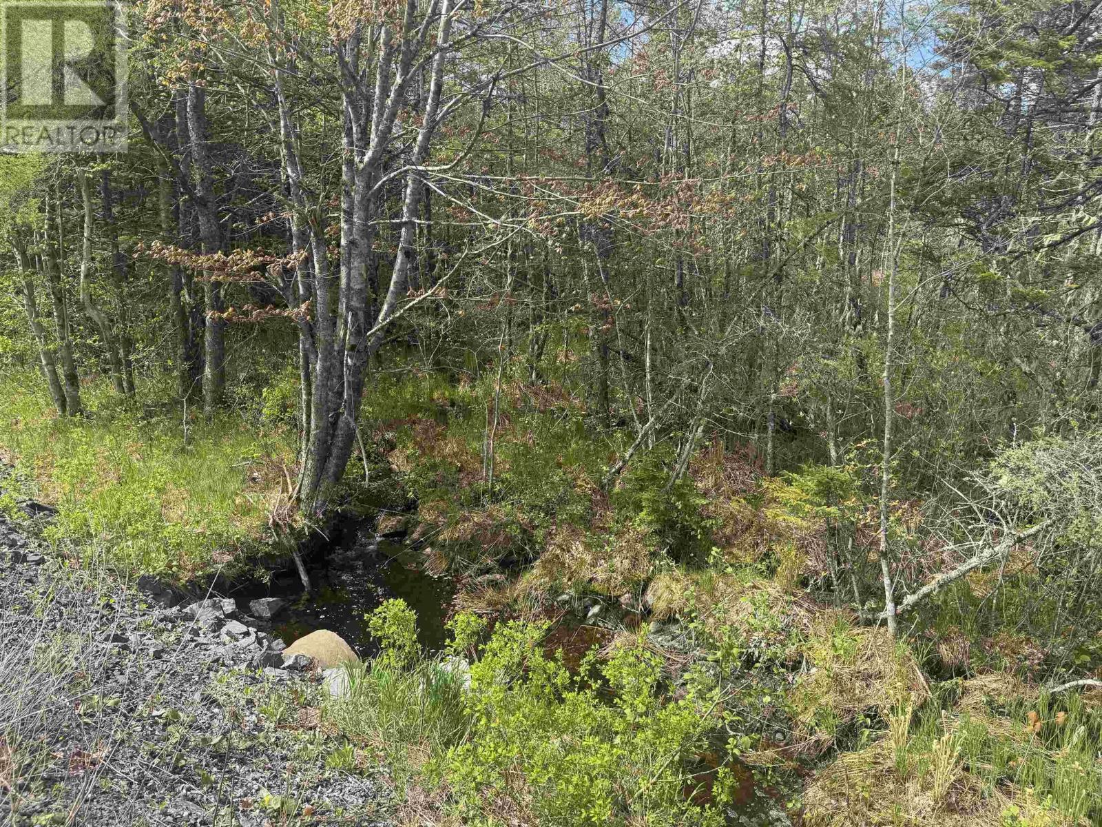 Lot A & B Highway 332, Bayport, Nova Scotia  B0J 2X0 - Photo 13 - 202612079
