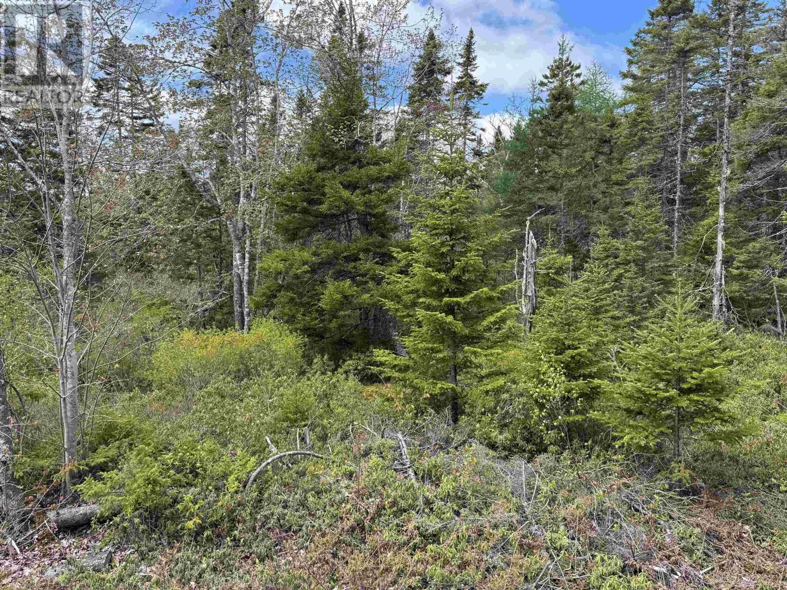 Lot A & B Highway 332, Bayport, Nova Scotia  B0J 2X0 - Photo 14 - 202612079
