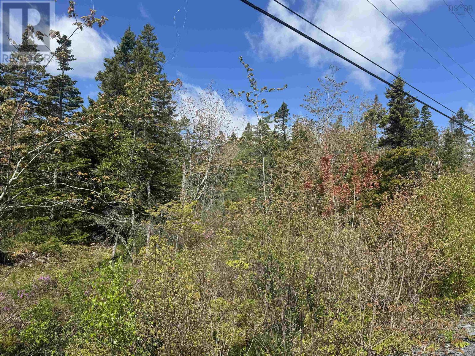 Lot A & B Highway 332, Bayport, Nova Scotia  B0J 2X0 - Photo 17 - 202612079