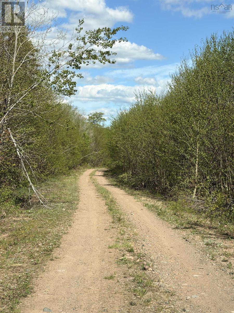 Fenton Road, Collingwood Corner, Nova Scotia  B0M 1E0 - Photo 10 - 202612096