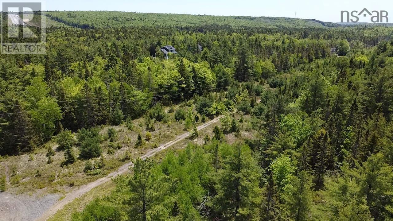 R2-Pd Leafs Lane, Wellington, Nova Scotia  B2T 0E7 - Photo 4 - 202612125