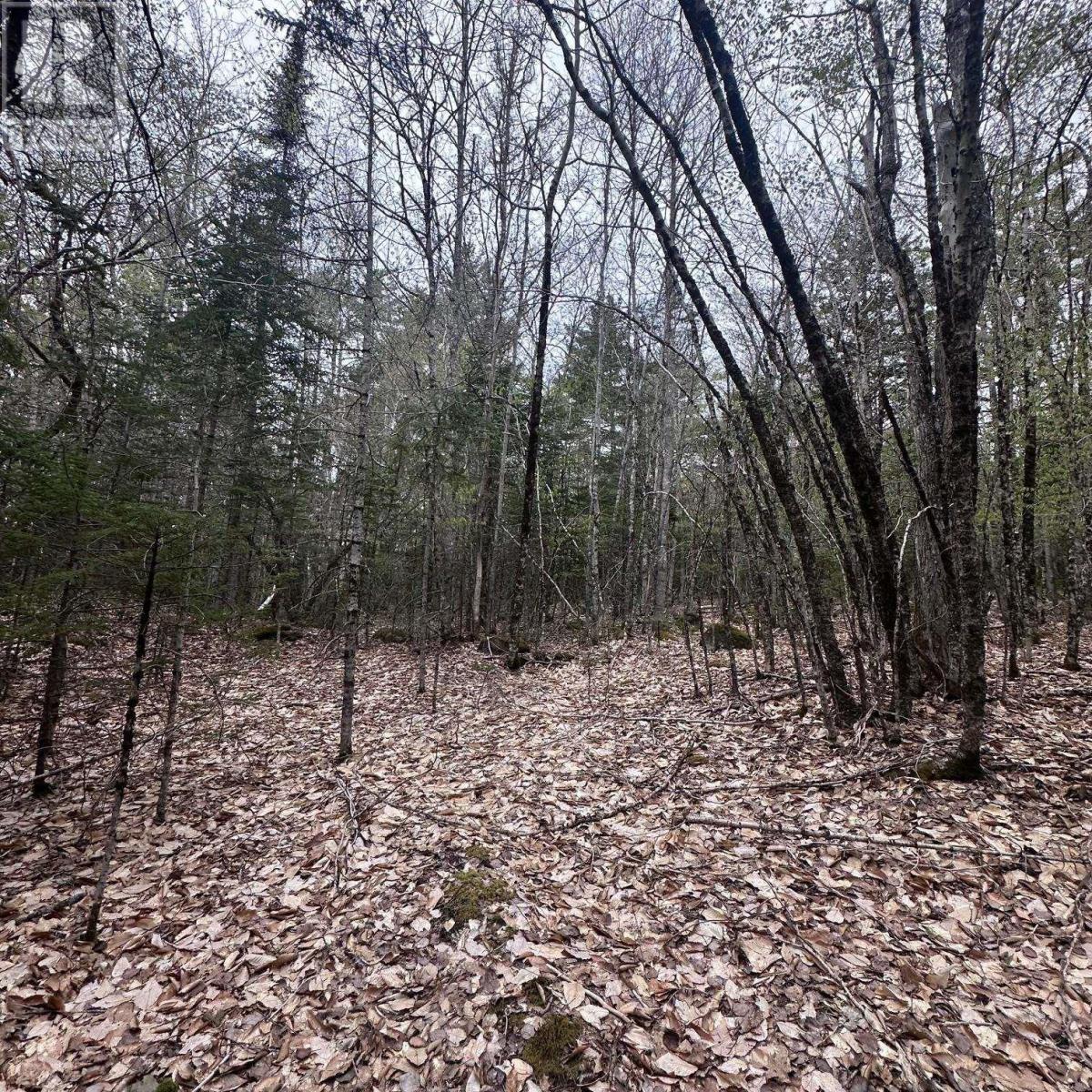 Lot 10 Moose Pit Road, westfield, Nova Scotia