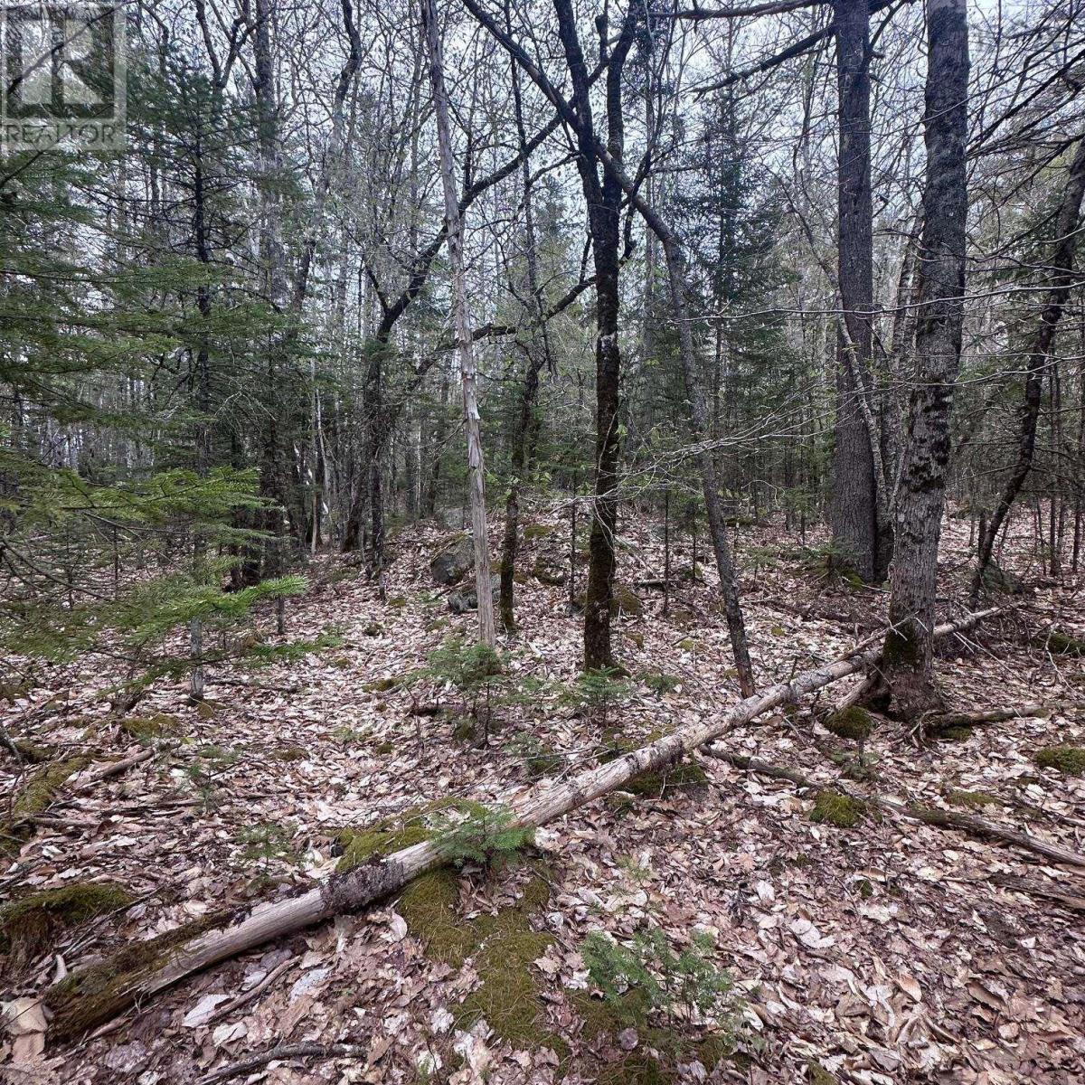 Lot 10 Moose Pit Road, Westfield, Nova Scotia  B0T 1B0 - Photo 2 - 202612422