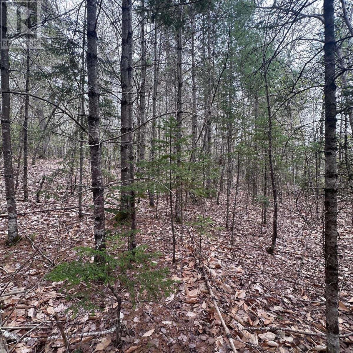 Lot 10 Moose Pit Road, Westfield, Nova Scotia  B0T 1B0 - Photo 4 - 202612422