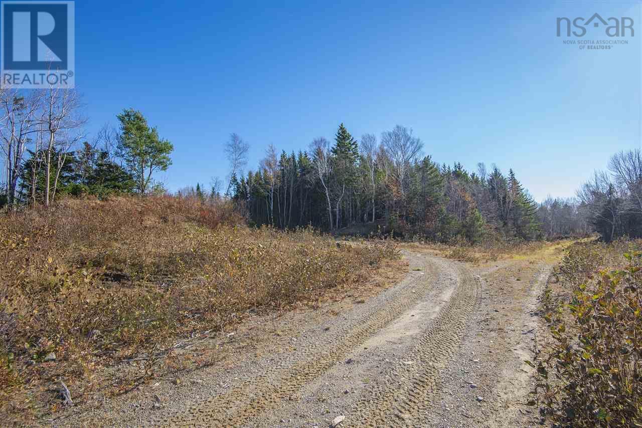 Sissiboo Road, Weymouth Mills, Nova Scotia  B0W 3T0 - Photo 14 - 202612446