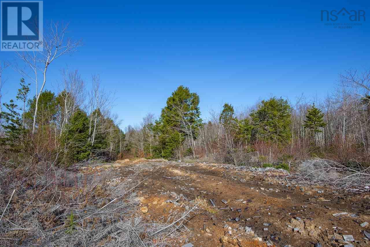 Sissiboo Road, Weymouth Mills, Nova Scotia  B0W 3T0 - Photo 18 - 202612446