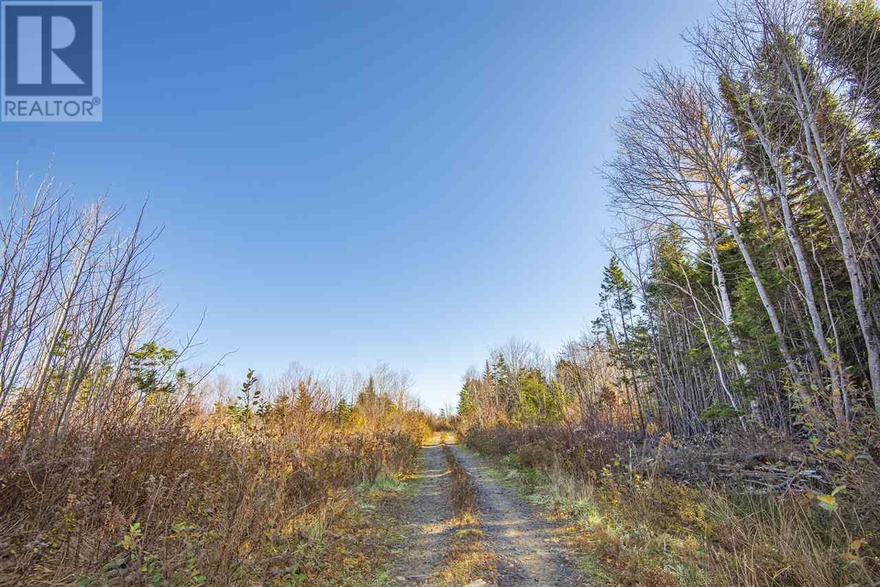 Sissiboo Road, Weymouth Mills, Nova Scotia  B0W 3T0 - Photo 6 - 202612446