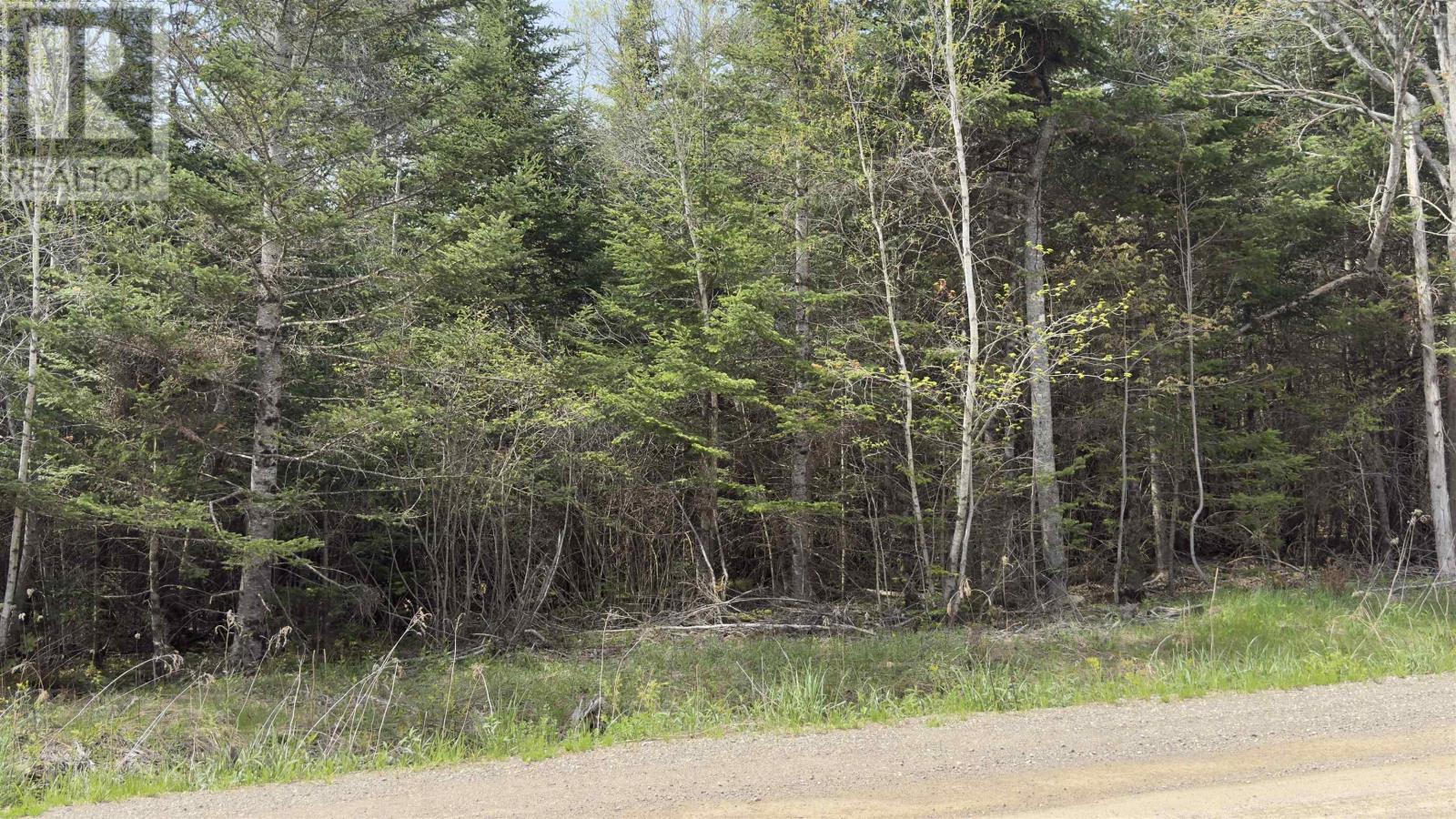 Lot 26-1 Beech Hill Road, Princeport, Nova Scotia  B6L 1B7 - Photo 6 - 202612578