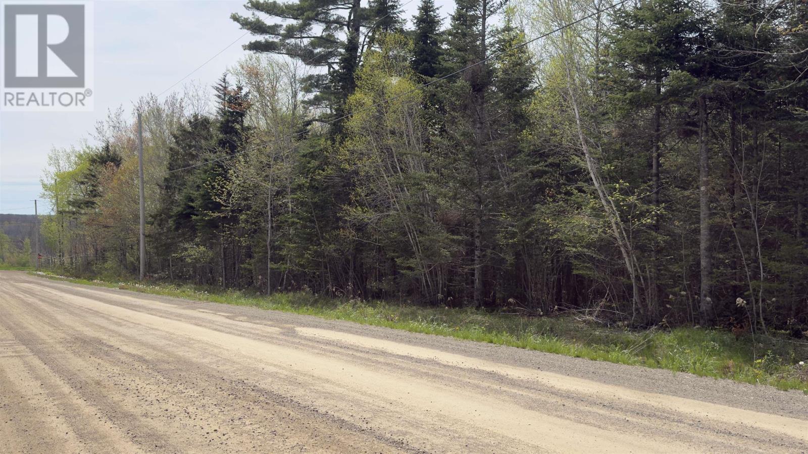 Lot 26-1 Beech Hill Road, Princeport, Nova Scotia  B6L 1B7 - Photo 9 - 202612578