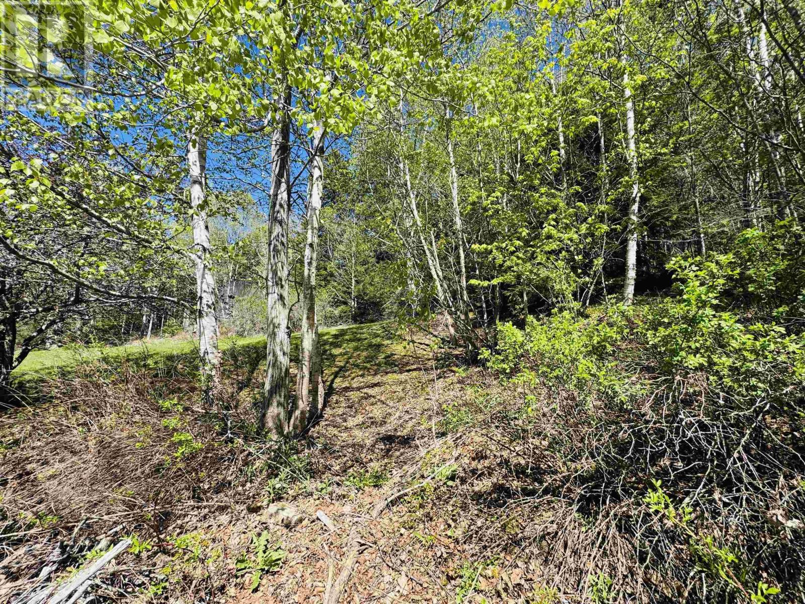 46 Fraserville Loop, East Fraserville, Nova Scotia  B0M 1S0 - Photo 8 - 202612667