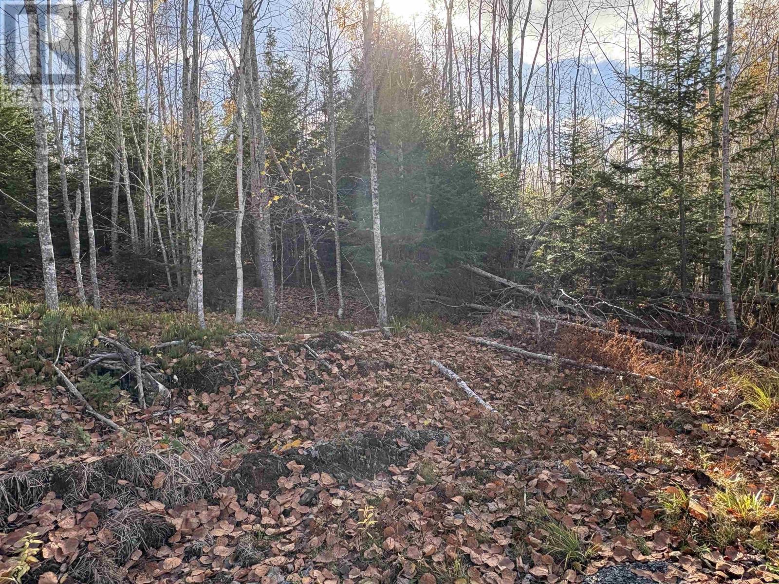 Lot 8 Shady Lane, Loch Broom, Nova Scotia  B0K 1H0 - Photo 16 - 202612700
