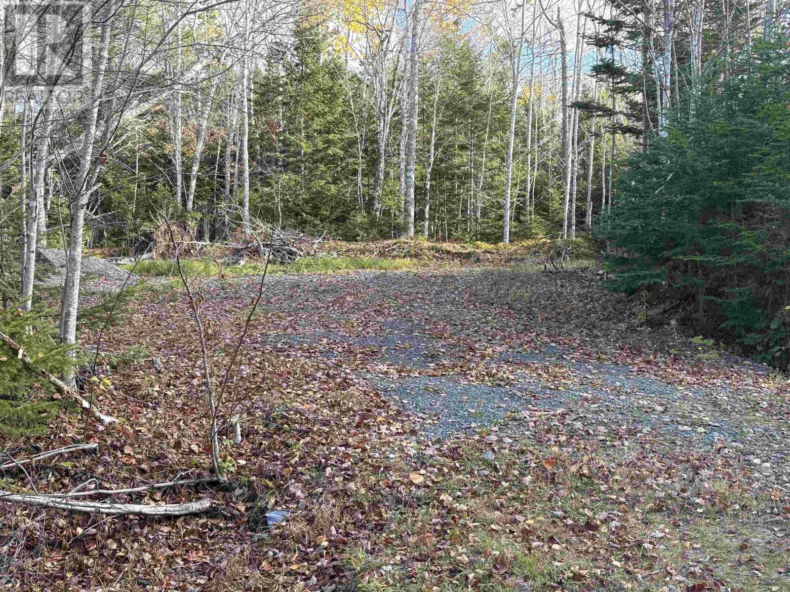 Lot 8 Shady Lane, Loch Broom, Nova Scotia  B0K 1H0 - Photo 2 - 202612700