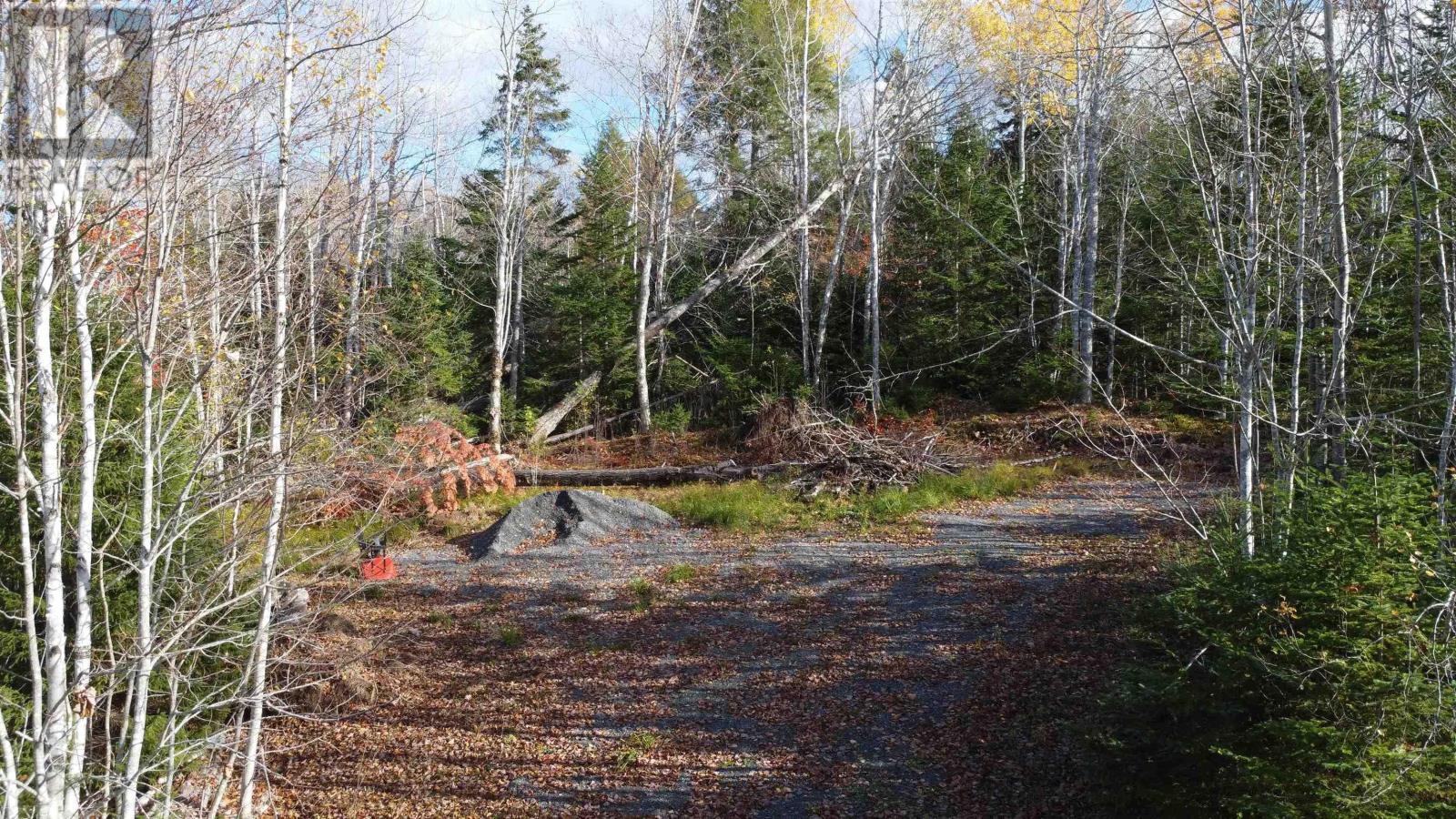 Lot 8 Shady Lane, Loch Broom, Nova Scotia  B0K 1H0 - Photo 6 - 202612700