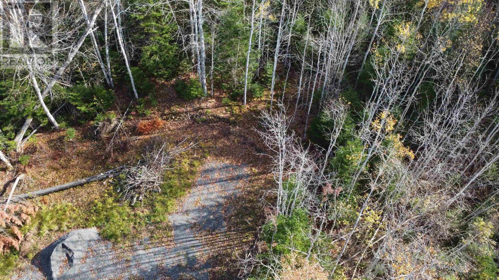 Lot 8 Shady Lane, Loch Broom, Nova Scotia  B0K 1H0 - Photo 8 - 202612700