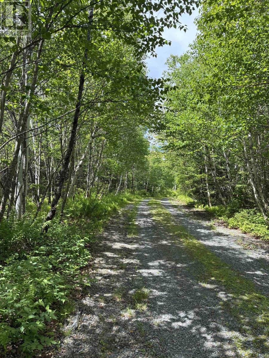 7600 Highway 7 Highway, Goldenville, Nova Scotia  B0J 3C0 - Photo 45 - 202612712
