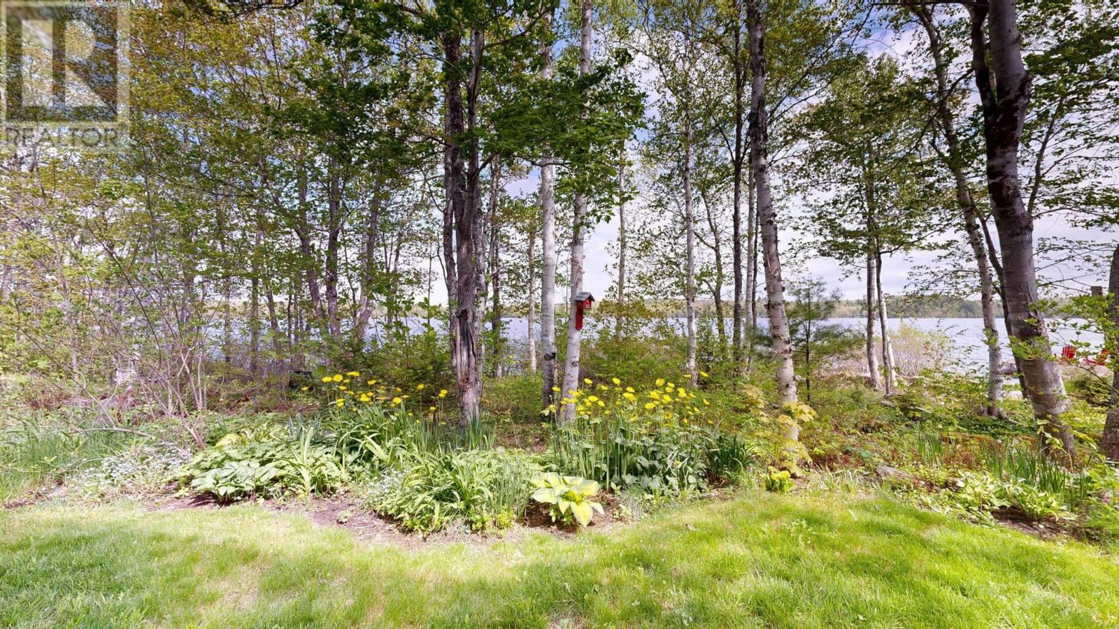 530 Methals Road, Black River Lake, Nova Scotia  B4P 1C9 - Photo 13 - 202612732