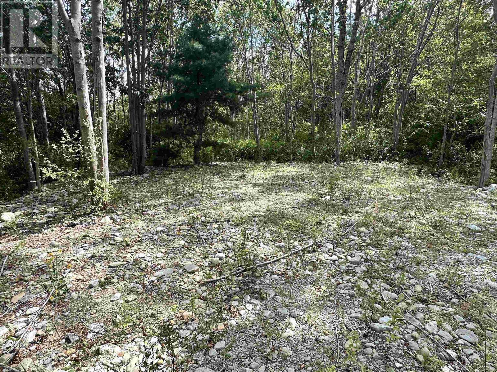 75 Brunswick Street, Liverpool, Nova Scotia  B0T 1K0 - Photo 6 - 202612738