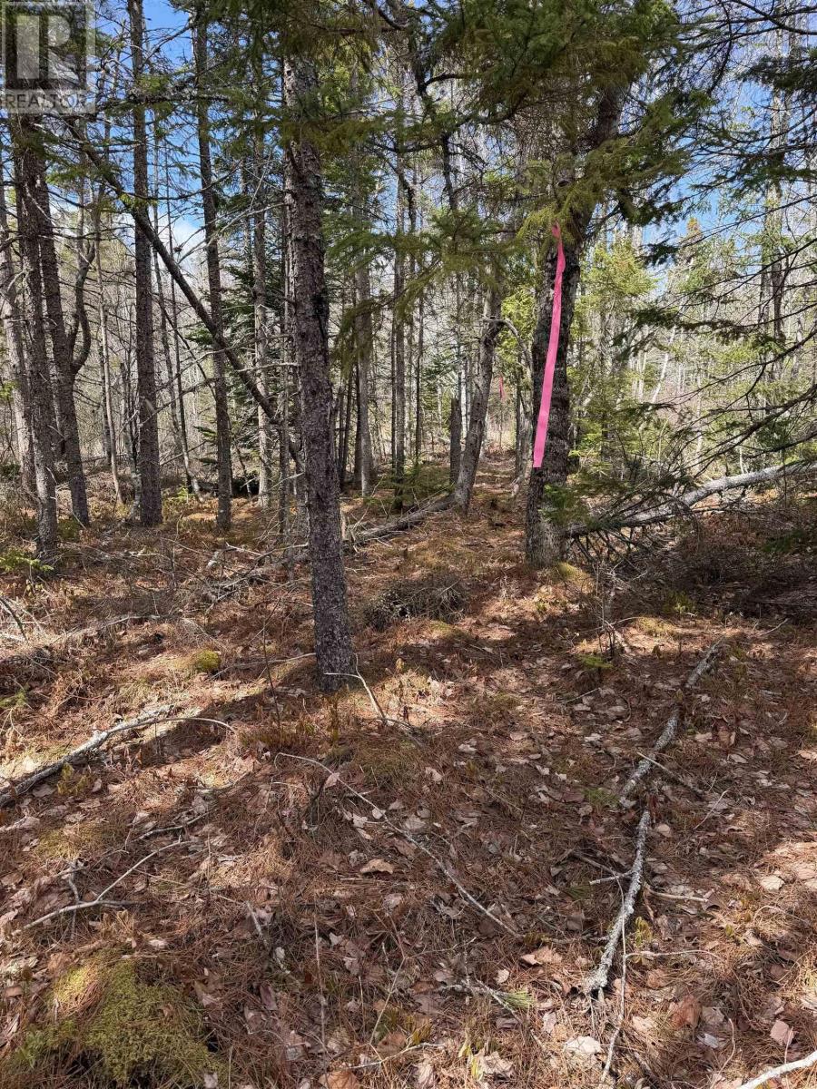 Lot Cl1 Palmer Road, West Wentworth, Nova Scotia  B0M 1Z0 - Photo 3 - 202612815