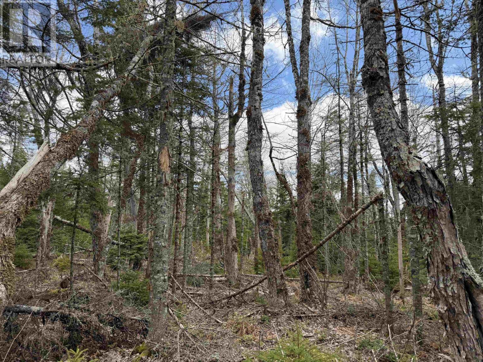 Lot Cl1 Palmer Road, West Wentworth, Nova Scotia  B0M 1Z0 - Photo 6 - 202612815