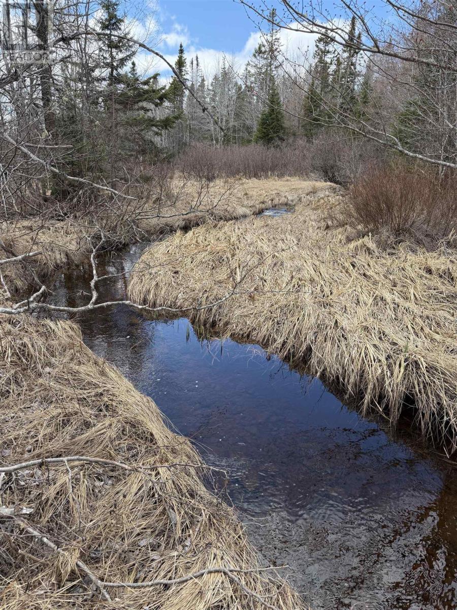Lot Cl1 Palmer Road, West Wentworth, Nova Scotia  B0M 1Z0 - Photo 8 - 202612815