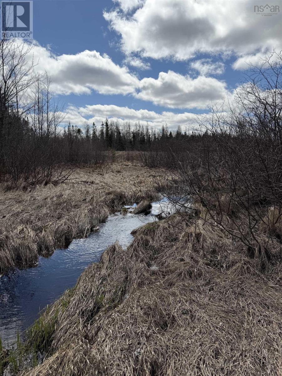 Lot Cl1 Palmer Road, West Wentworth, Nova Scotia  B0M 1Z0 - Photo 9 - 202612815