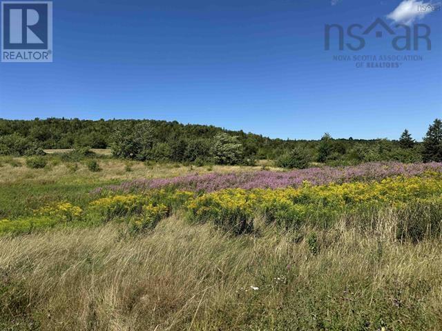 5907 395 Highway, South West Margaree, Nova Scotia  B0E 3H0 - Photo 20 - 202612884