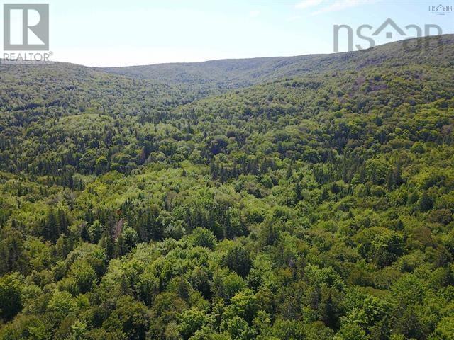 5907 395 Highway, South West Margaree, Nova Scotia  B0E 3H0 - Photo 21 - 202612884