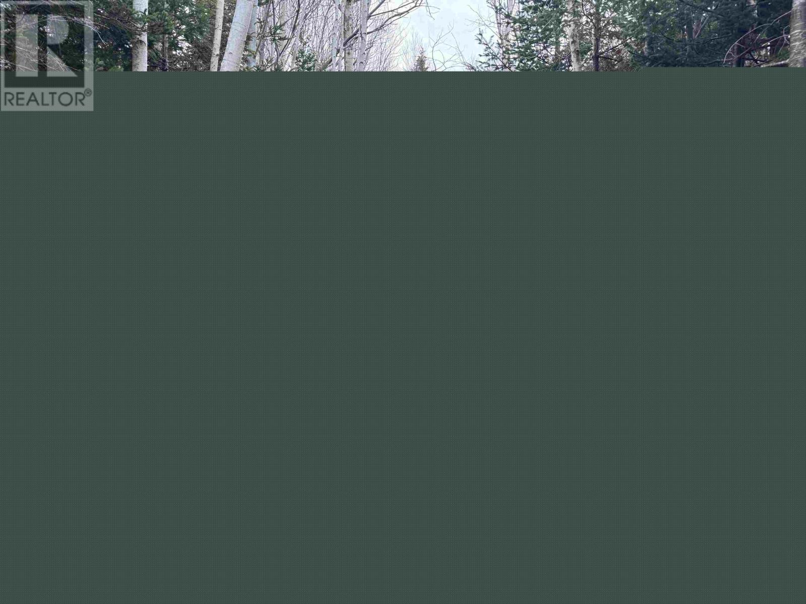 2058 New Campbellton Road, Cape Dauphin, Nova Scotia  B1X 1X5 - Photo 23 - 202612885