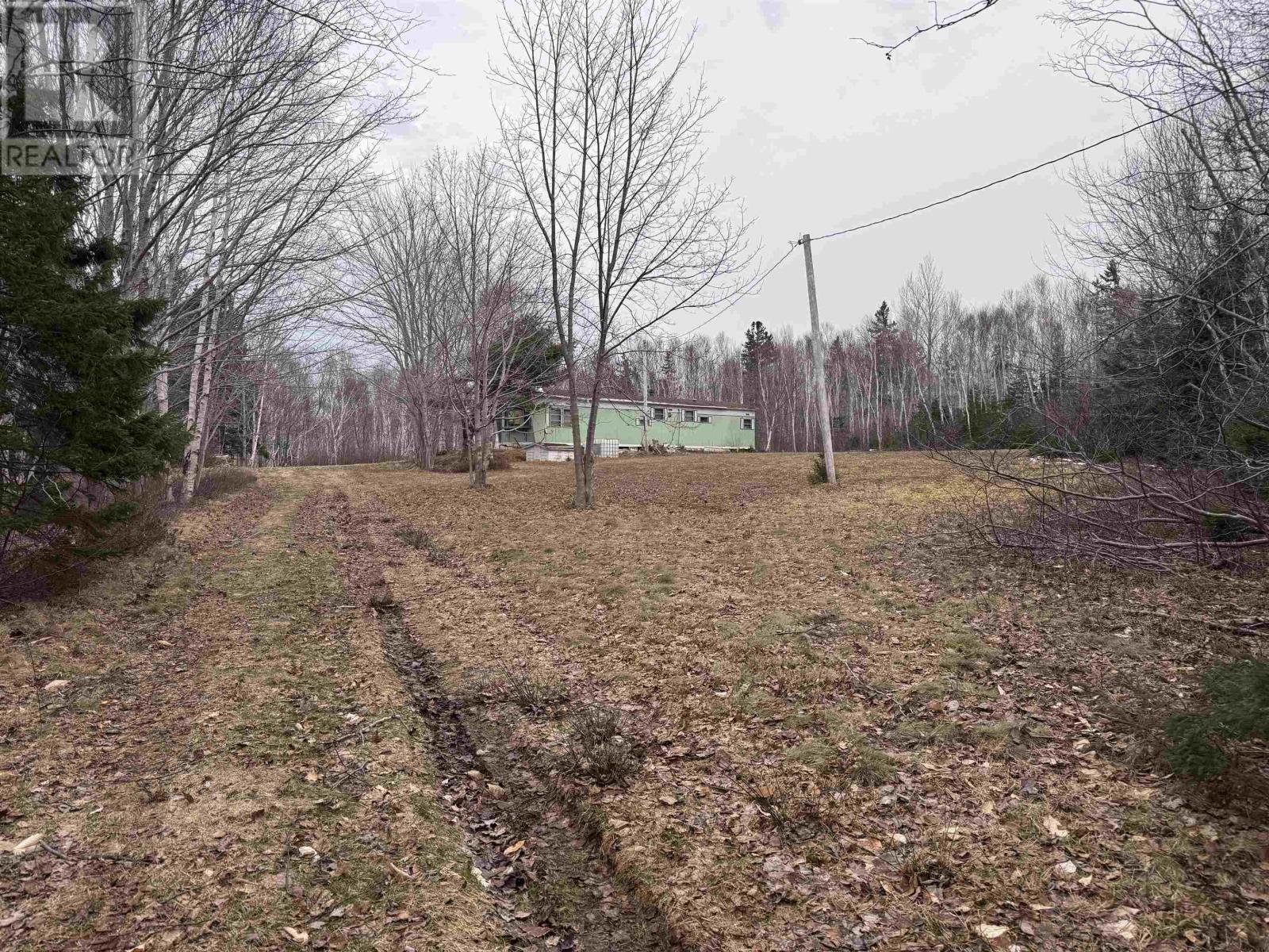 2058 New Campbellton Road, Cape Dauphin, Nova Scotia  B1X 1X5 - Photo 26 - 202612885