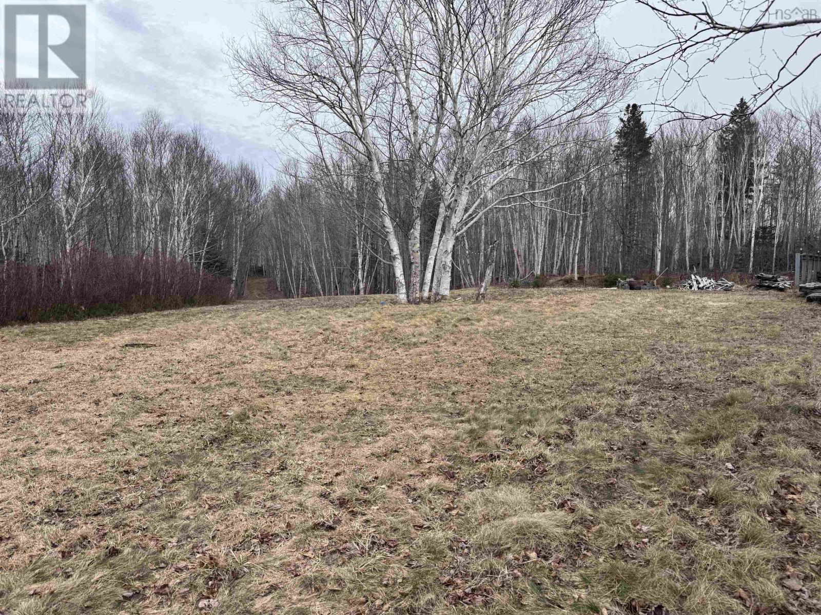 2058 New Campbellton Road, Cape Dauphin, Nova Scotia  B1X 1X5 - Photo 27 - 202612885