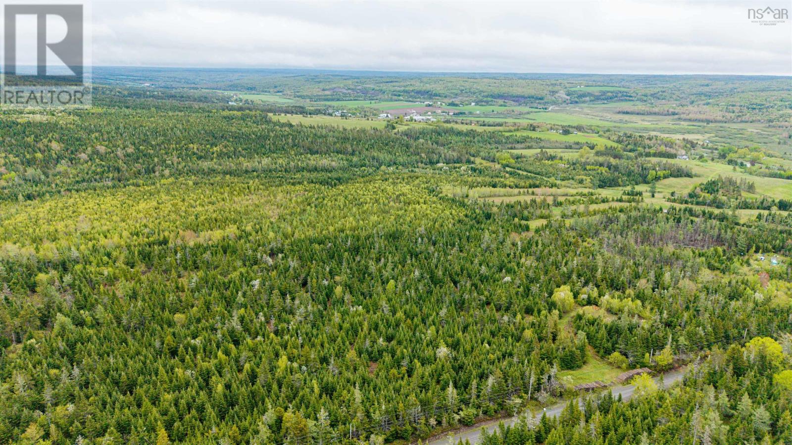 Watson Hill Road, Upper Musquodoboit, Nova Scotia  B0N 1X0 - Photo 6 - 202613075